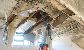 Best Residential Mold Inspection & Testing  in San Joaquin, CA